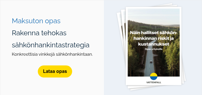 Maksuton opas Rakenna tehokas sähkönhankintastrategia  Konkreettisia vinkkejä sähkönhankintaan.  
