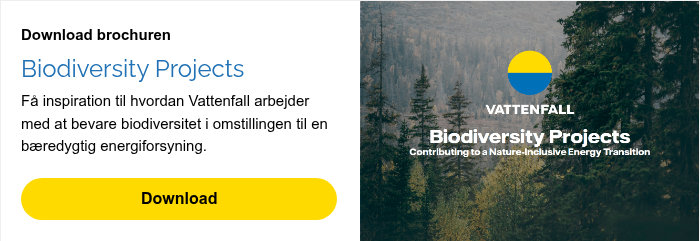 Download brochuren Biodiversity Projects Få inspiration til hvordan Vattenfall arbejder med at bevare biodiversitet i omstillingen til en bæredygtig energiforsyning.