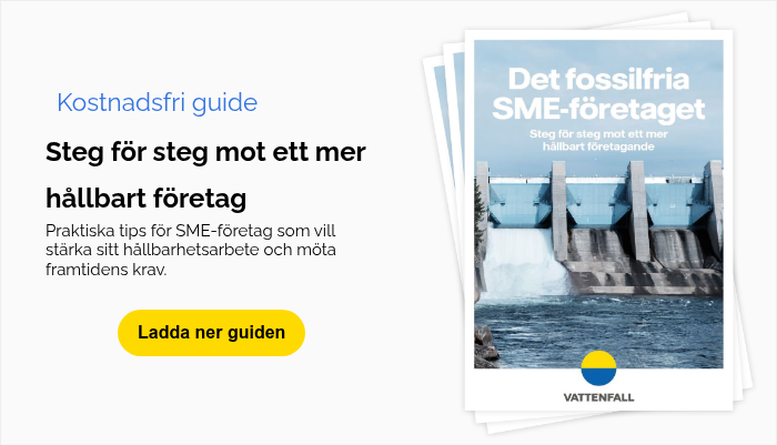 Kostnadsfri guide