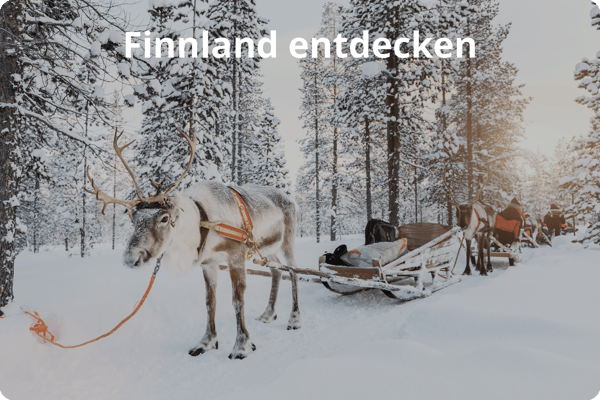 Neuer Call-to-Action