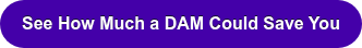 See How Much a DAM Could Save You