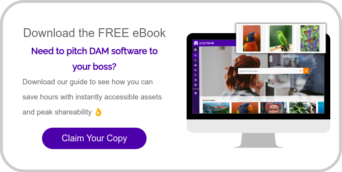 Download the FREE eBook Need to pitch DAM software to your boss? Download our guide to see how you can save hours with instantly accessible assets and peak shareability ��&nbsp;&nbsp; &nbsp;