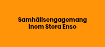 <h5>Samhällsengagemang inom Stora Enso</h5>