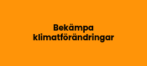 <h5>Bekämpa klimatförändringar</h5>