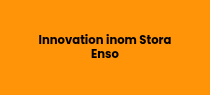 <h5>Innovation inom Stora Enso</h5>