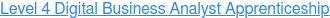 Level 4 Digital Business Analyst Apprenticeship
