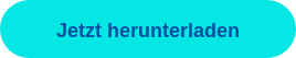 Jetzt herunterladen