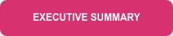 EXECUTIVE SUMMARY