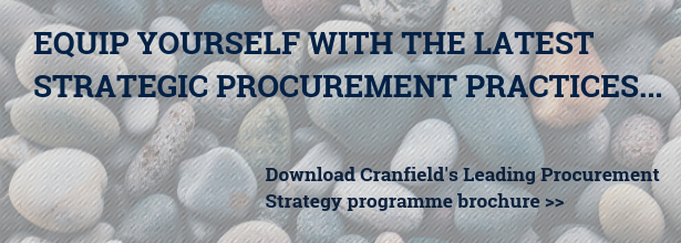 Leading Procurement Strategy brochure