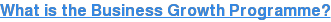 What is the Business Growth Programme?