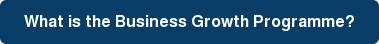 What is the Business Growth Programme?