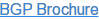 BGP Brochure