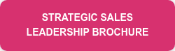 STRATEGIC SALES  LEADERSHIP BROCHURE