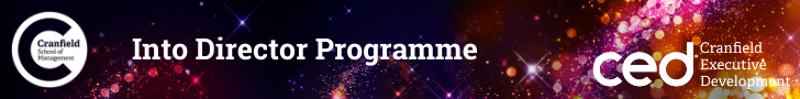 Into Director Programme