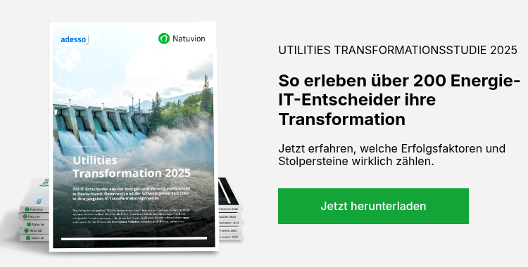 LP_DE_Utilities-Transformation_2025