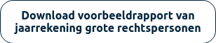 Download voorbeeldrapport van jaarrekening grote rechtspersonen