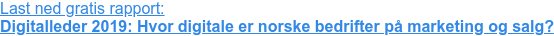 Last ned gratis rapport:  Digitalleder 2019:&nbsp;Hvor digitale er norske bedrifter på marketing og salg?