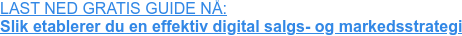 LAST NED GRATIS GUIDE NÅ: Slik etablerer du en effektiv digital salgs- og markedsstrategi