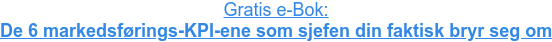 Gratis e-Bok: De 6 markedsførings-KPI-ene som sjefen din faktisk bryr seg om