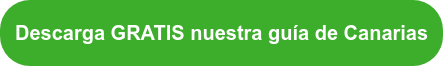 Descarga GRATIS nuestra guía de Canarias