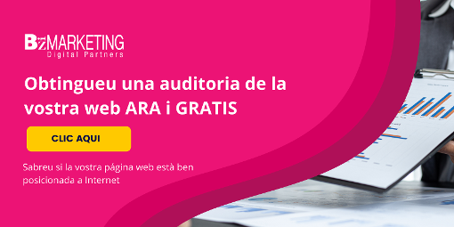 posicionament web