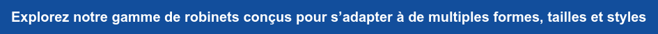 Explorez notre gamme de robinets conçus pour s’adapter à de multiples formes, tailles et styles