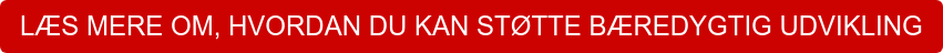 LÆS MERE OM, HVORDAN DU KAN STØTTE BÆREDYGTIG UDVIKLING