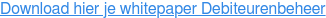 Download hier je whitepaper Debiteurenbeheer