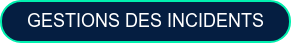 gestions des incidents &nbsp;