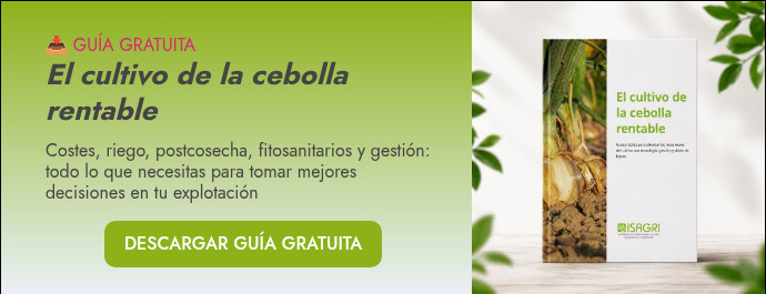 ��&nbsp;GUÍA GRATUITA El cultivo de la cebolla rentable