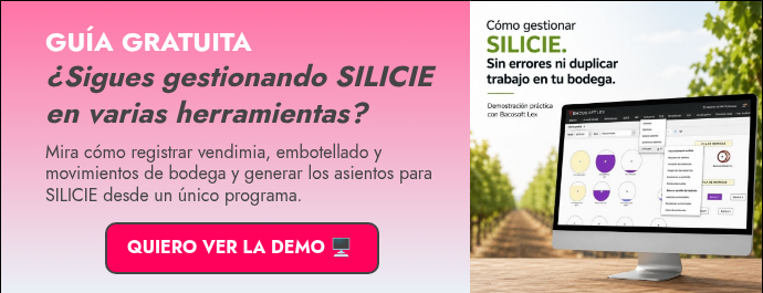 GUÍA GRATUITA ¿Sigues gestionando SILICIE en varias herramientas?