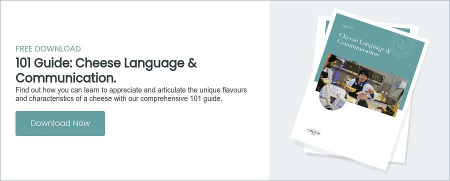 FREE DOWNLOAD 101 Guide: Cheese Language & Communication. Find out how you can learn to appreciate and articulate the unique flavours and characteristics of a cheese with our comprehensive 101 guide.  