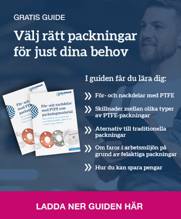 CTA-PFE-hemsida2 367 x 444 px