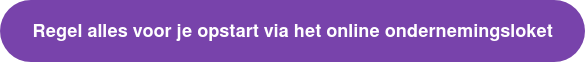 Regel alles voor je opstart via het online ondernemingsloket