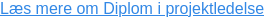 Læs mere om Diplom i projektledelse