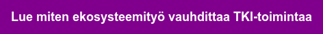Lue miten ekosysteemityö vauhdittaa TKI-toimintaa