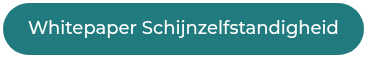 Whitepaper Schijnzelfstandigheid