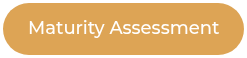Maturity Assessment