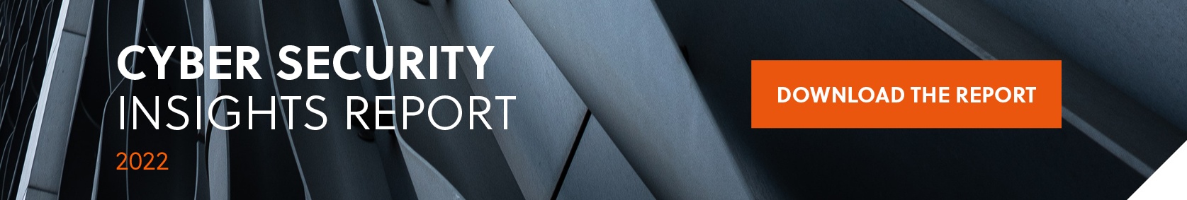 Cyber Security Insights Report