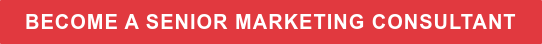 BECOME A SENIOR MARKETING CONSULTANT