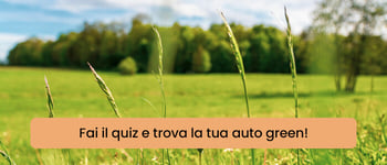 Fai il quiz!