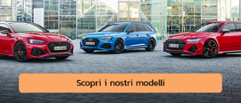 Scopri i nostri modelli APSp