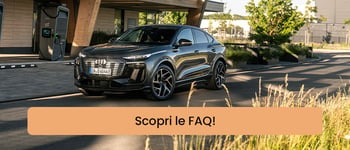 Scarica le FAQ
