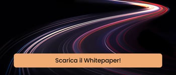 Scarica il Whitepaper