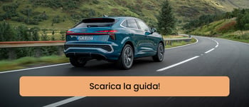 Scarica la guida