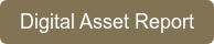 Digital Asset Report