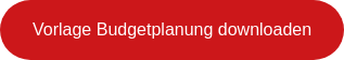 Vorlage Budgetplanung downloaden