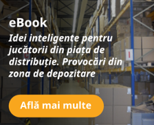 http://info.bitsoftware.eu/ebook-idei-distributie-depozite