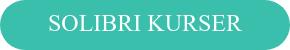 SOLIBRI KURSER