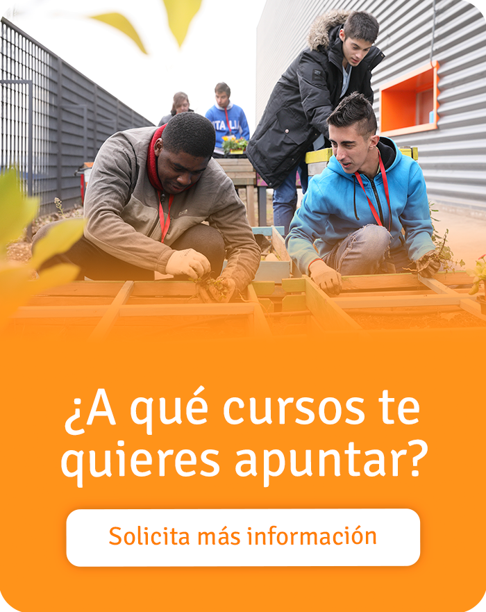 a-que-cursos-te-quieres-apuntar